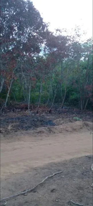 Vendo meia tarefa de terra no Crato 