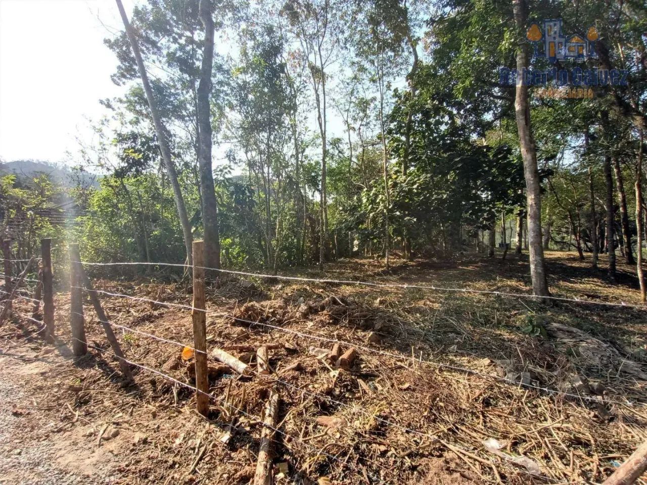 Terreno com boa topografia - Nova Friburgo/RJ