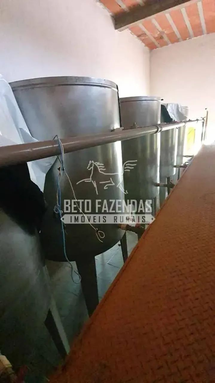 Imóvel para venda tem 28000 metros quadrados em Área Rural de Gaspar - Gaspar - SC - Foto 4