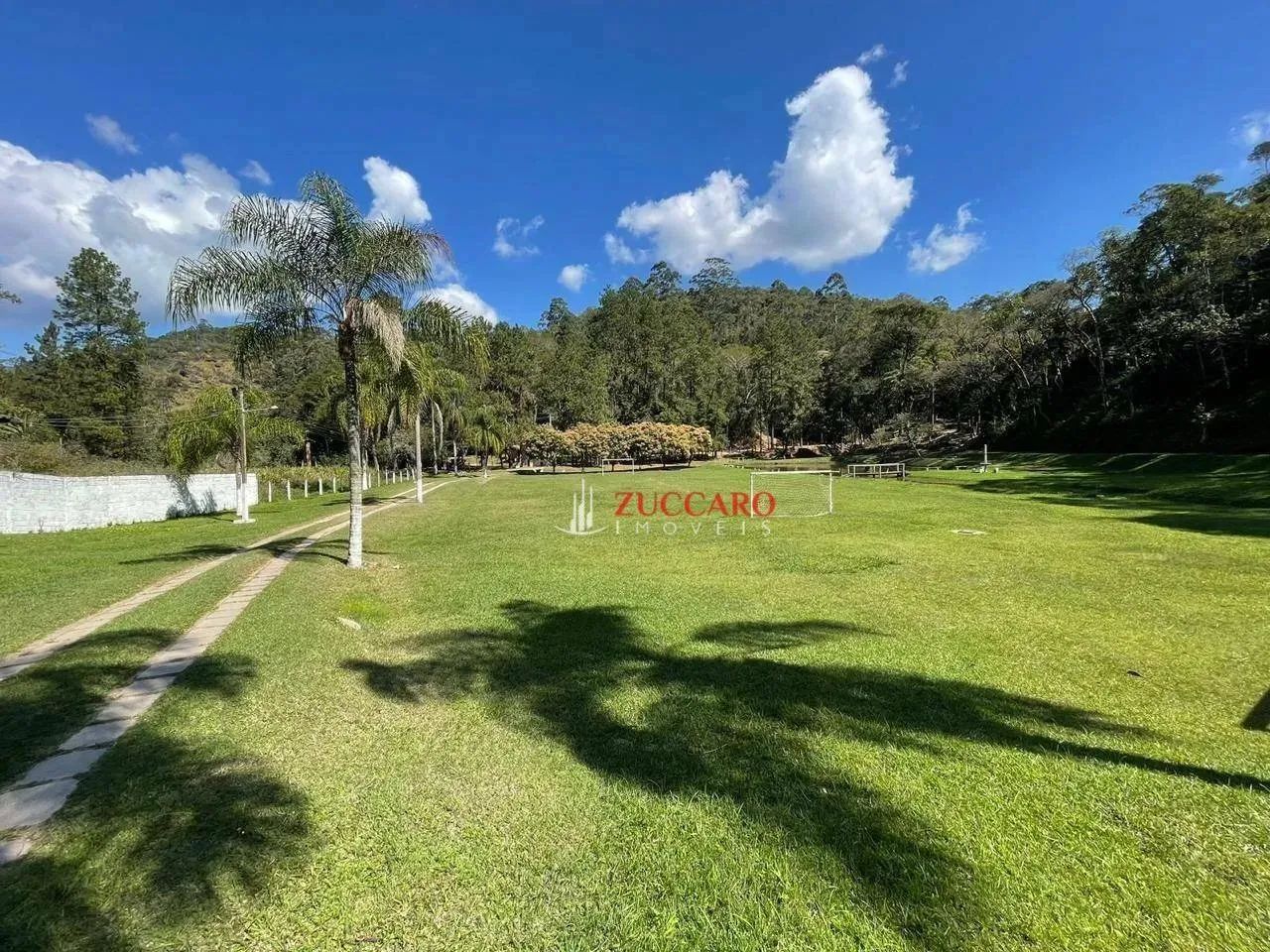 Sítio com 5 dormitórios à venda, 24000 m² por R$ 1.280.000,00 - Cachoeirinha - Bom Jesus d - Foto 4