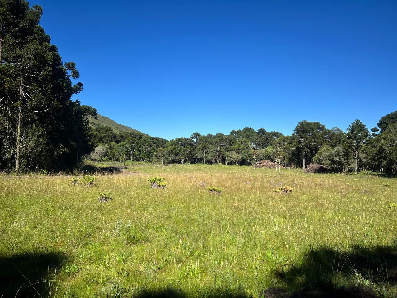 Sítio em Urubici - 30% entrada + 48X - Foto 5