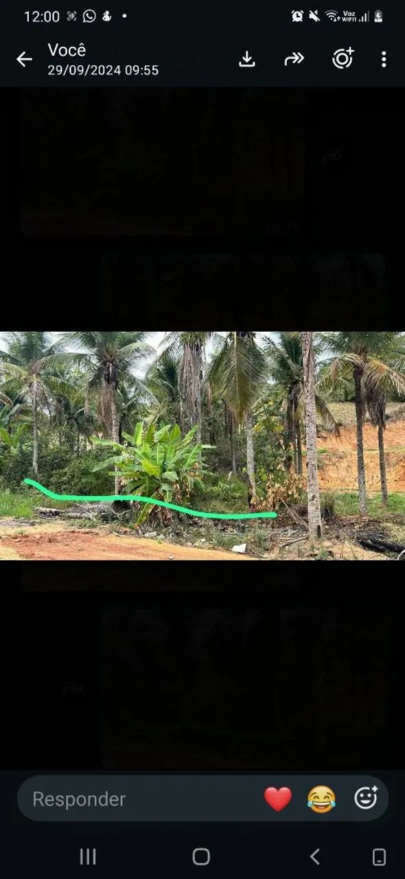 Terreno 