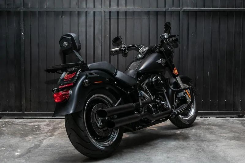 HARLEY-DAVIDSON FLSTFB 2014 - Foto 4