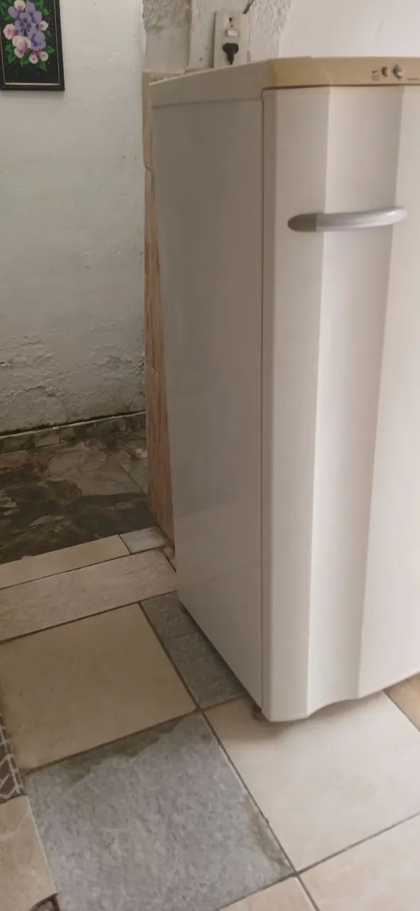 GELADEIRA ELETROLUX RE29 - Foto 4