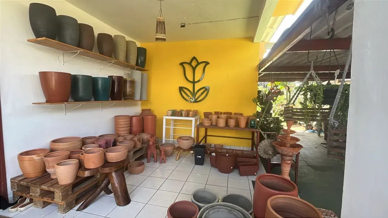 Repasse Loja de Plantas em Ponta Negra - Natal - RN - Foto 5