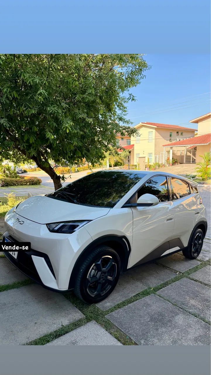 BYD Dolphin Mini (Elétrico) 2025 - Foto 4