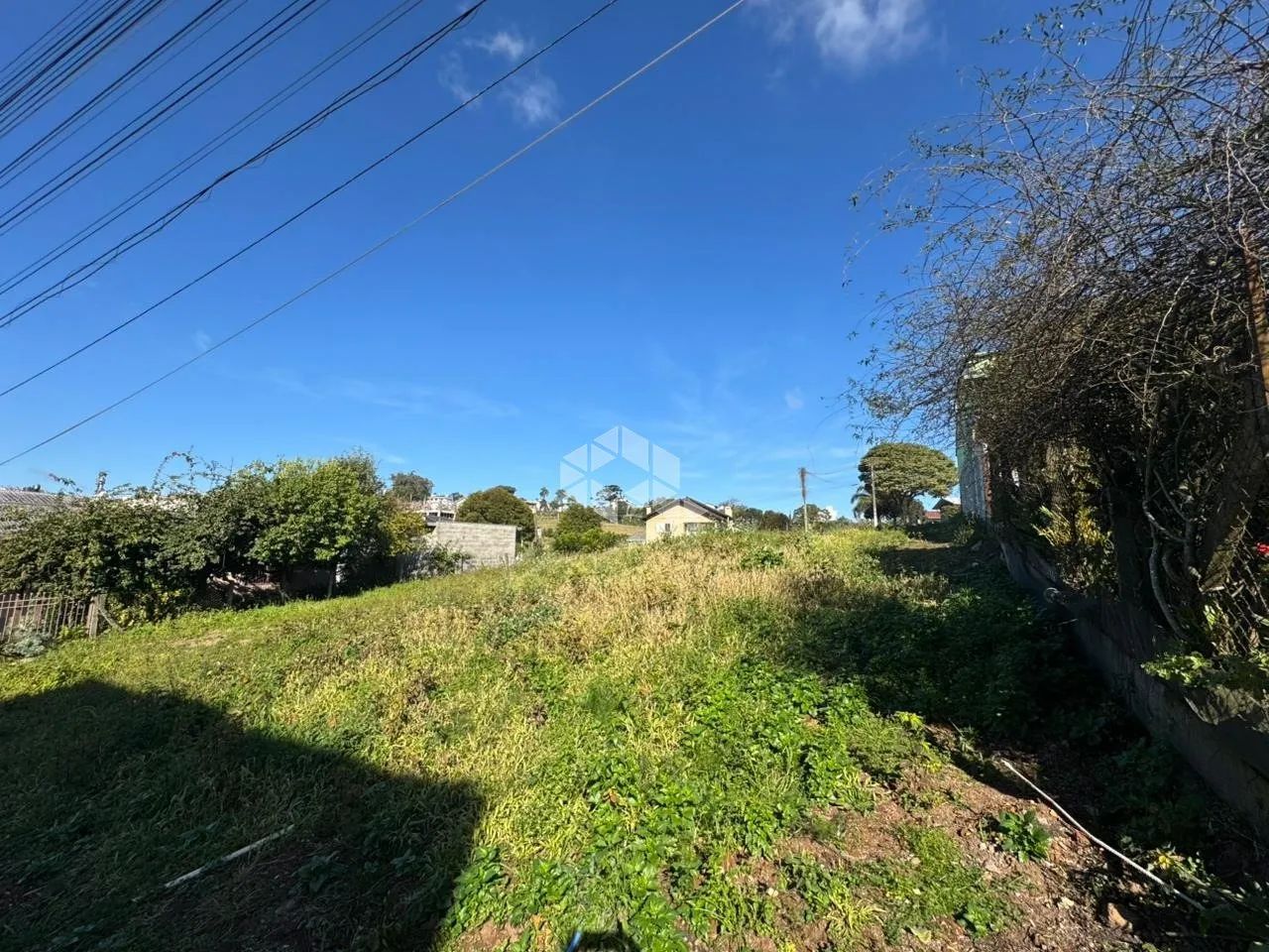 Amplo terreno com 1002,00m² - Foto 3