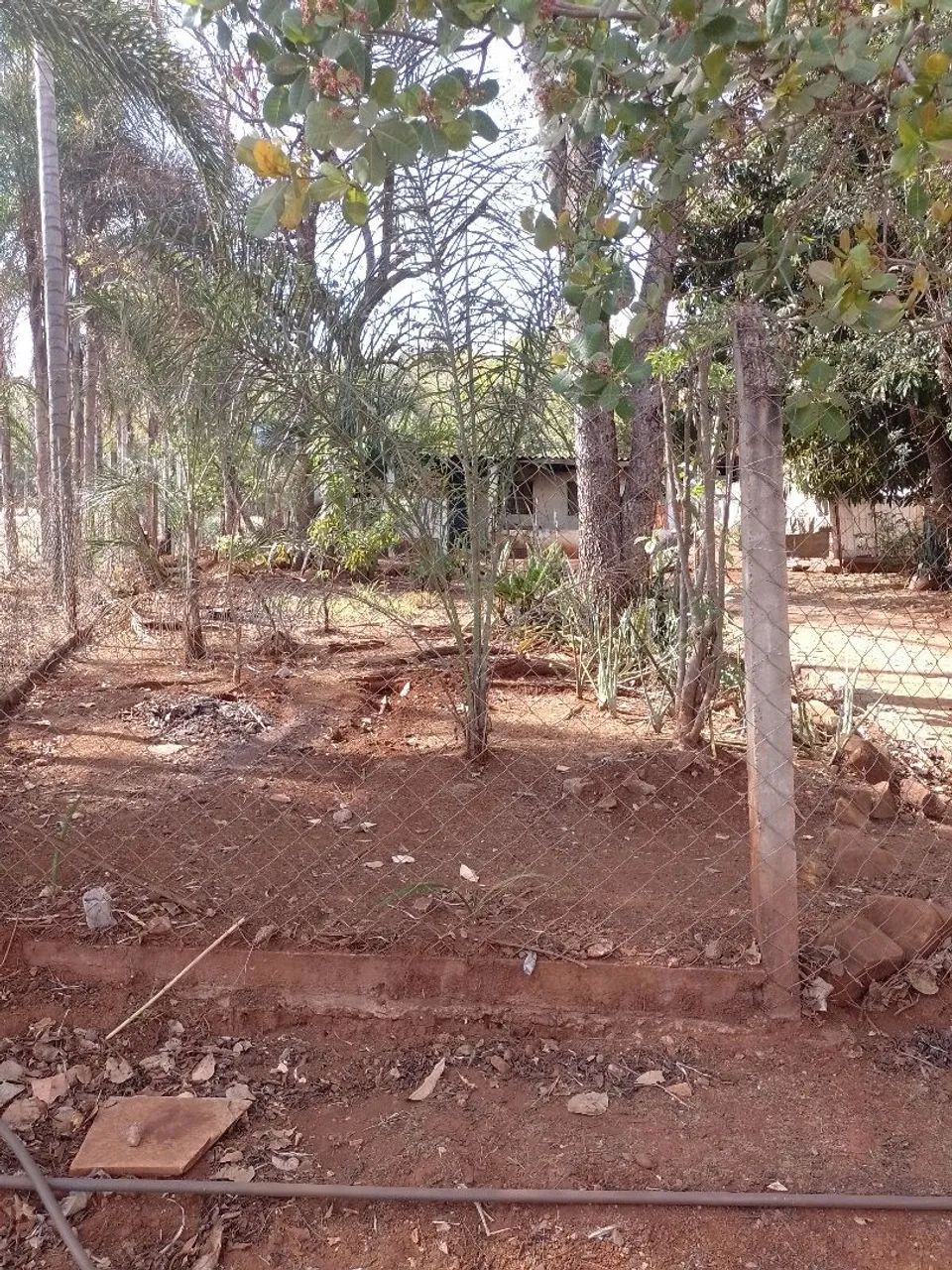 Chácara no Miranda 07 - Foto 5