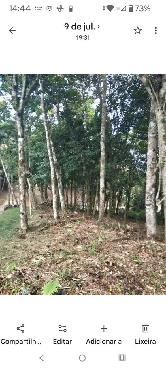 VENDO ÁREA DE CHÁCARA. - Foto 2