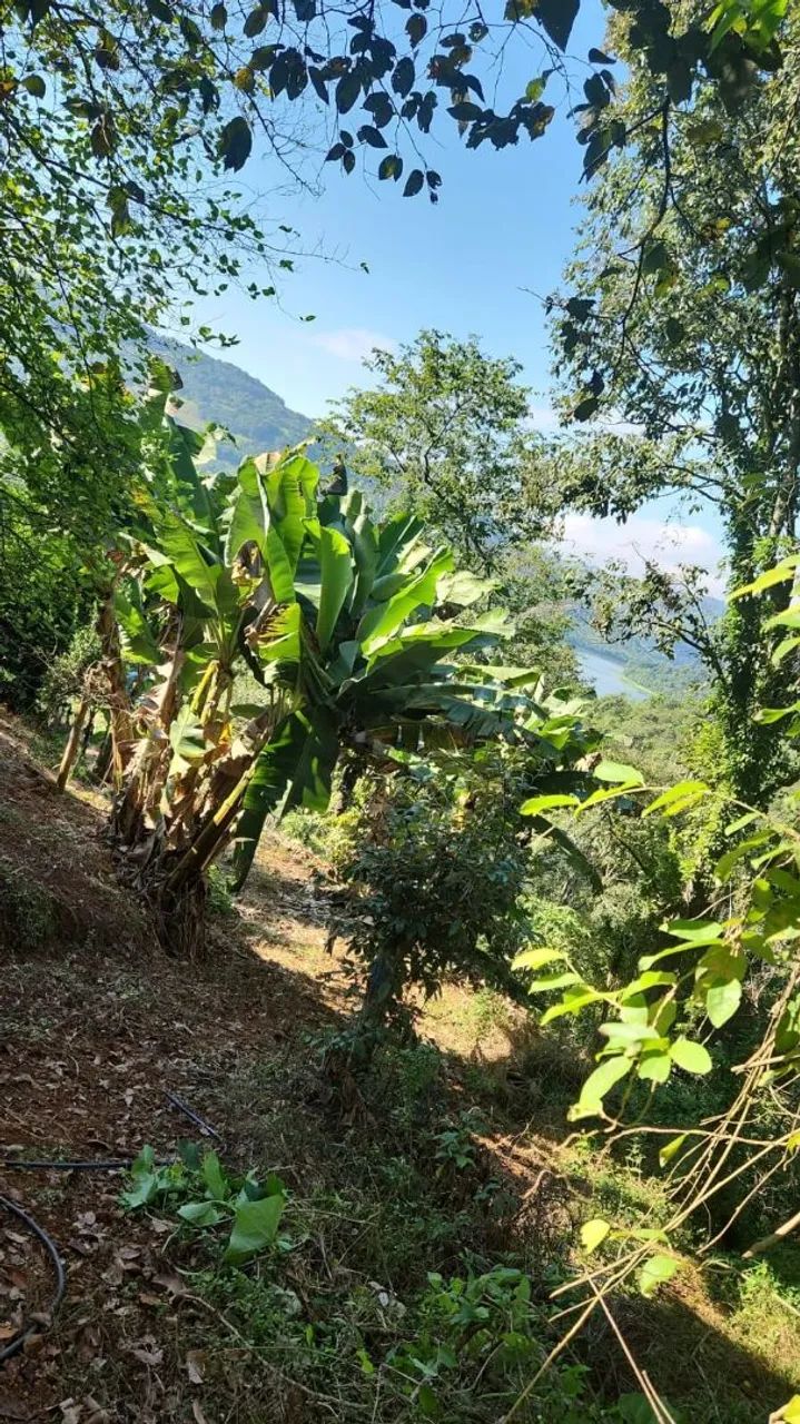 089 - Foto 2