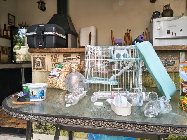 Kit hamster 