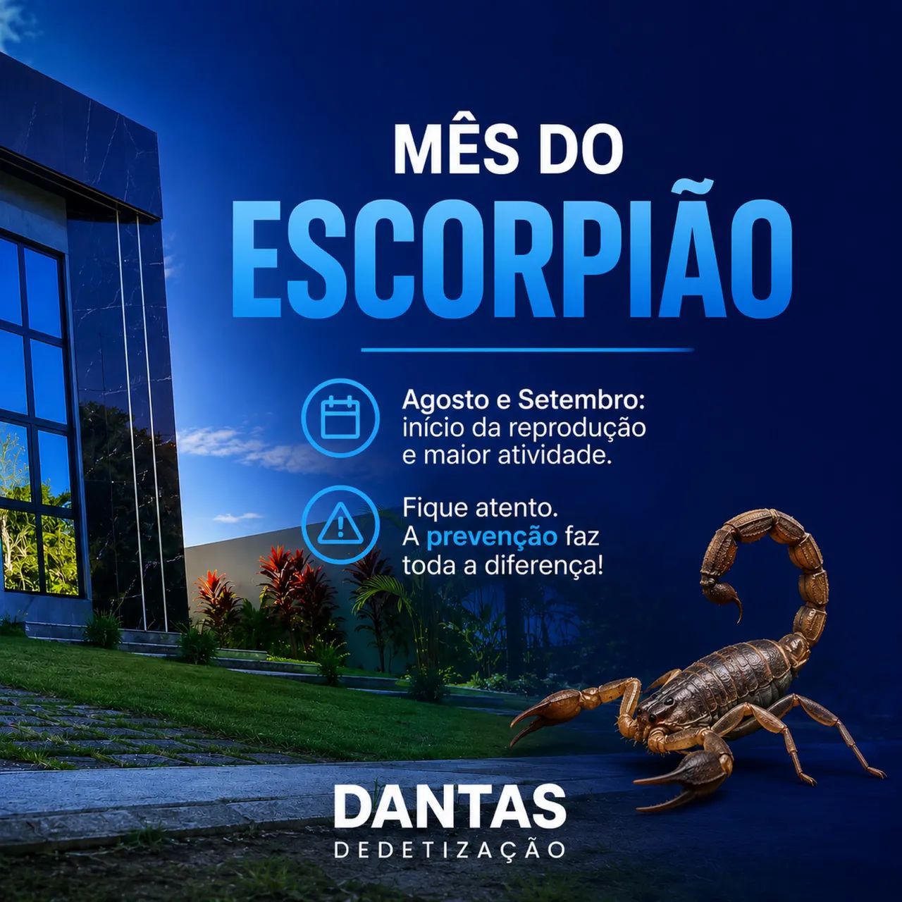 Dedetização/ empresa licenciada  - Foto 3