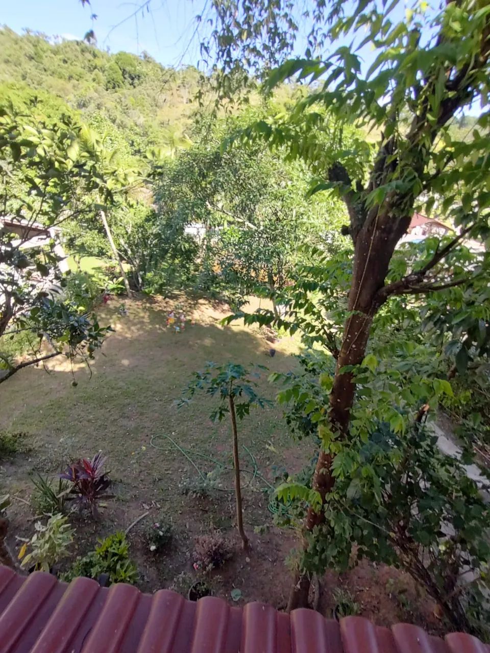 Sitio pronto com fartura de água. Fazenda Capivari. - Foto 3