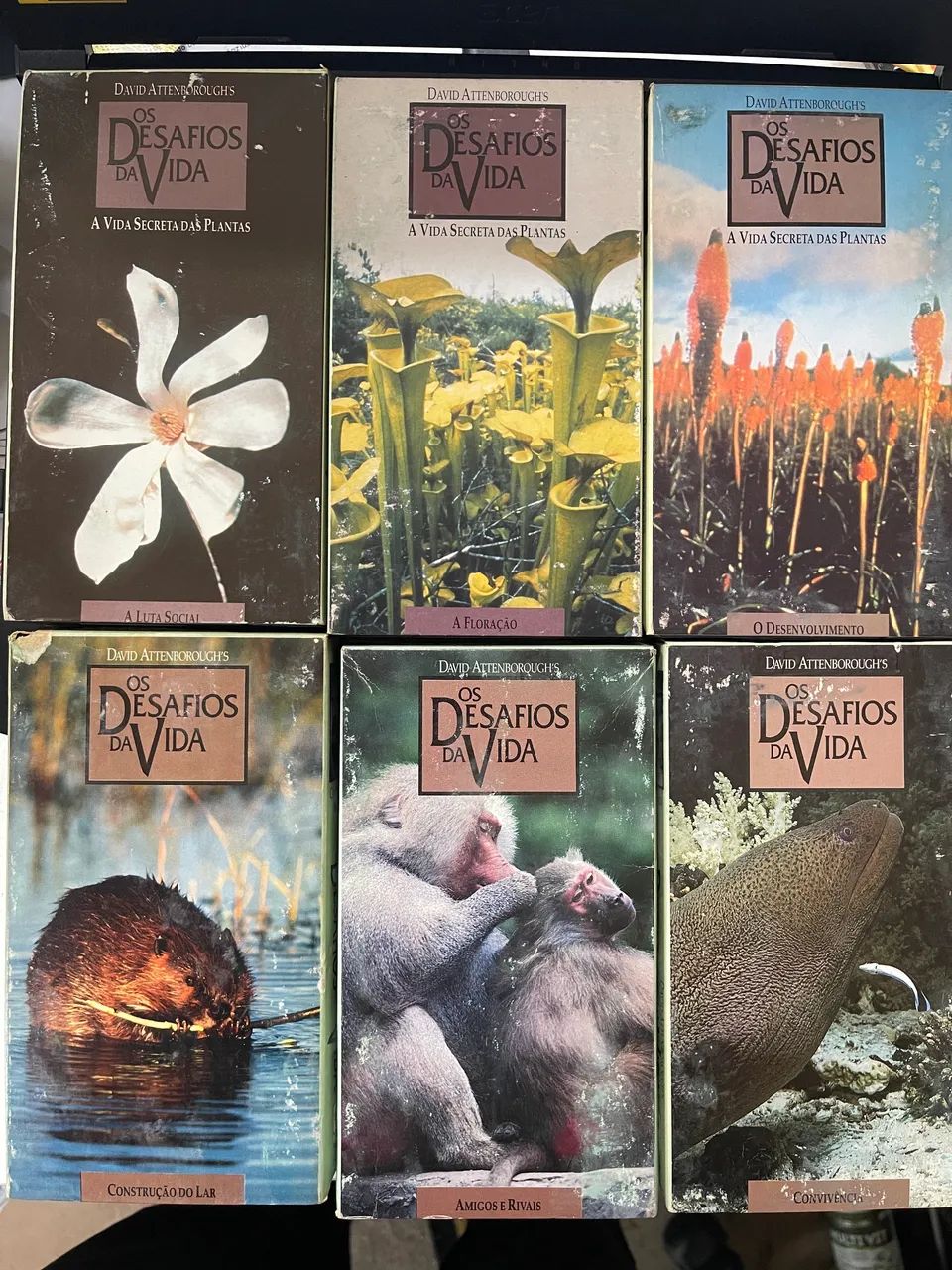 Vhs os desafios da vida David attenborough?s 11 volumes  - Foto 3