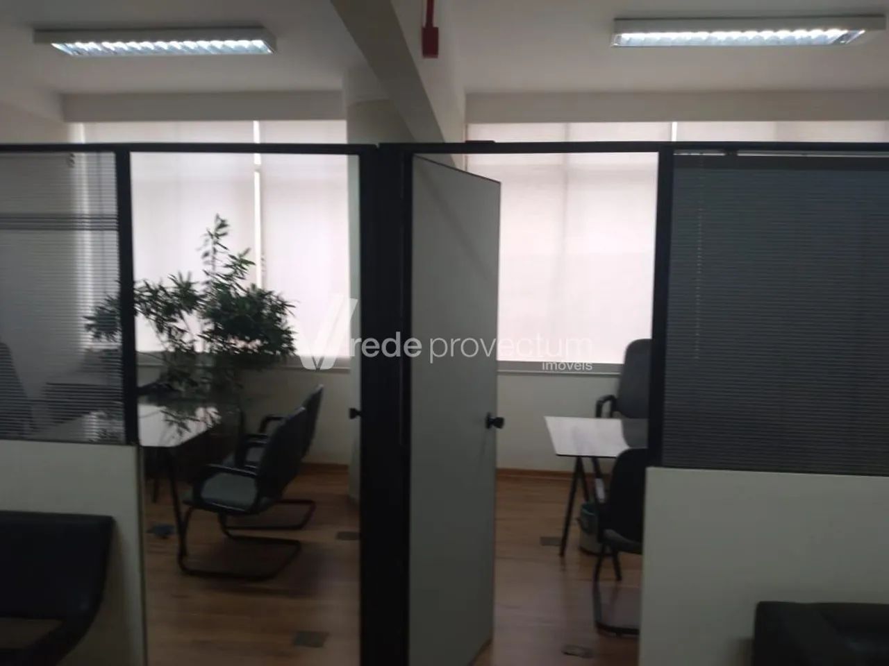 sala - Centro - Campinas - Foto 4