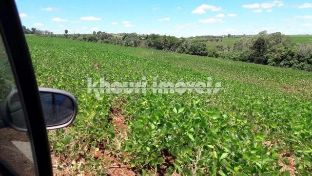 Sítio à venda em Sarandi, NÃO INFORMADO, com 5 quartos, com 5 alqueires - Foto 4