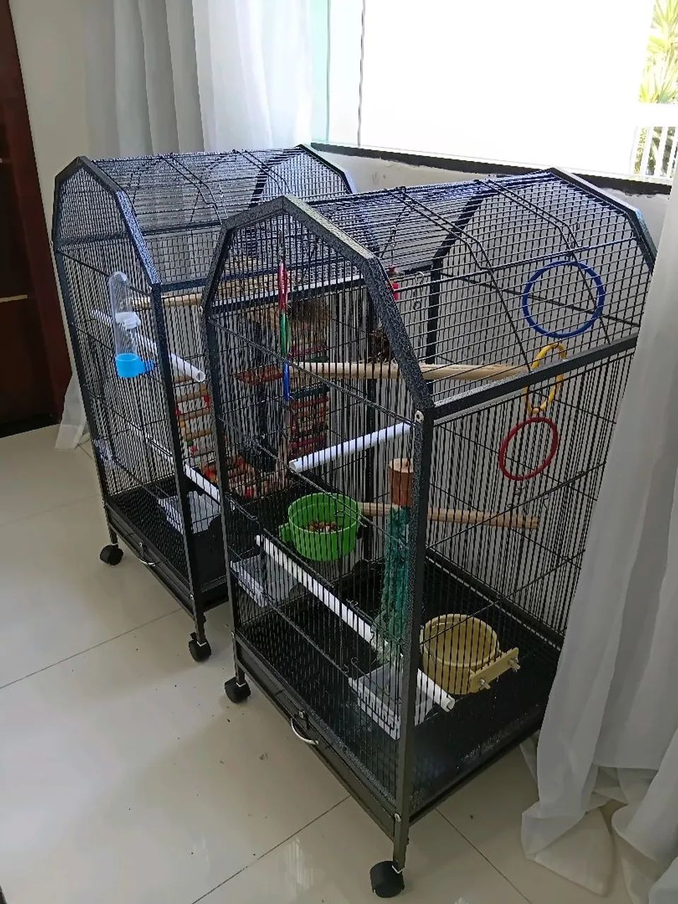 Gaiola  - Foto 2