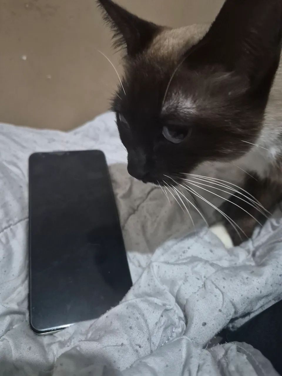 Realme c61 seminovo - Foto 4