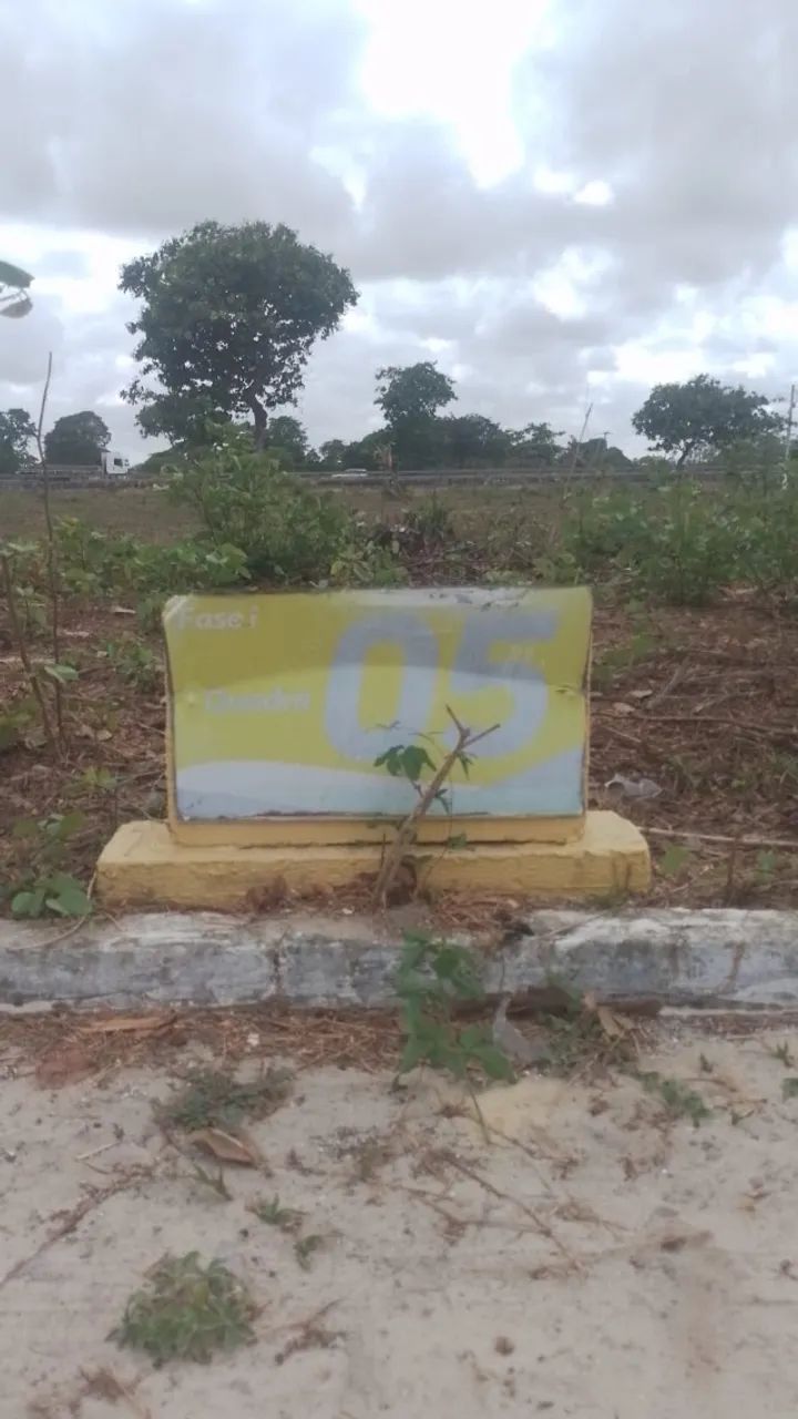 TERRENO À VENDA EM PACAJÚS  - Foto 5