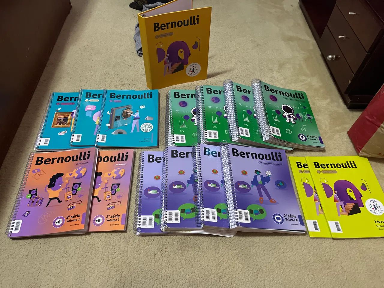 COLEÇÃO 2024 BERNOULLI