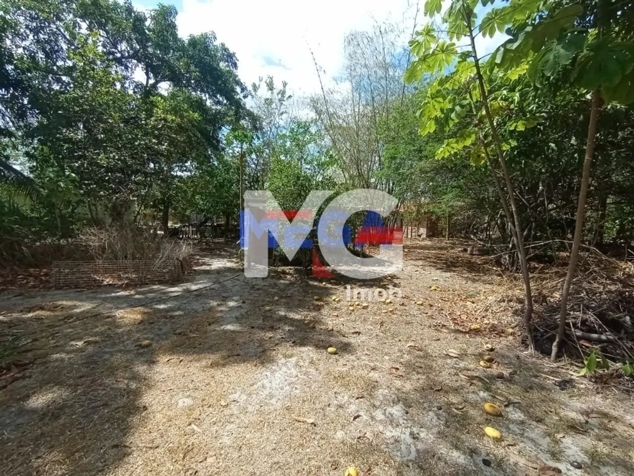 Chácara à venda 3 quartos em Catolé - Foto 5