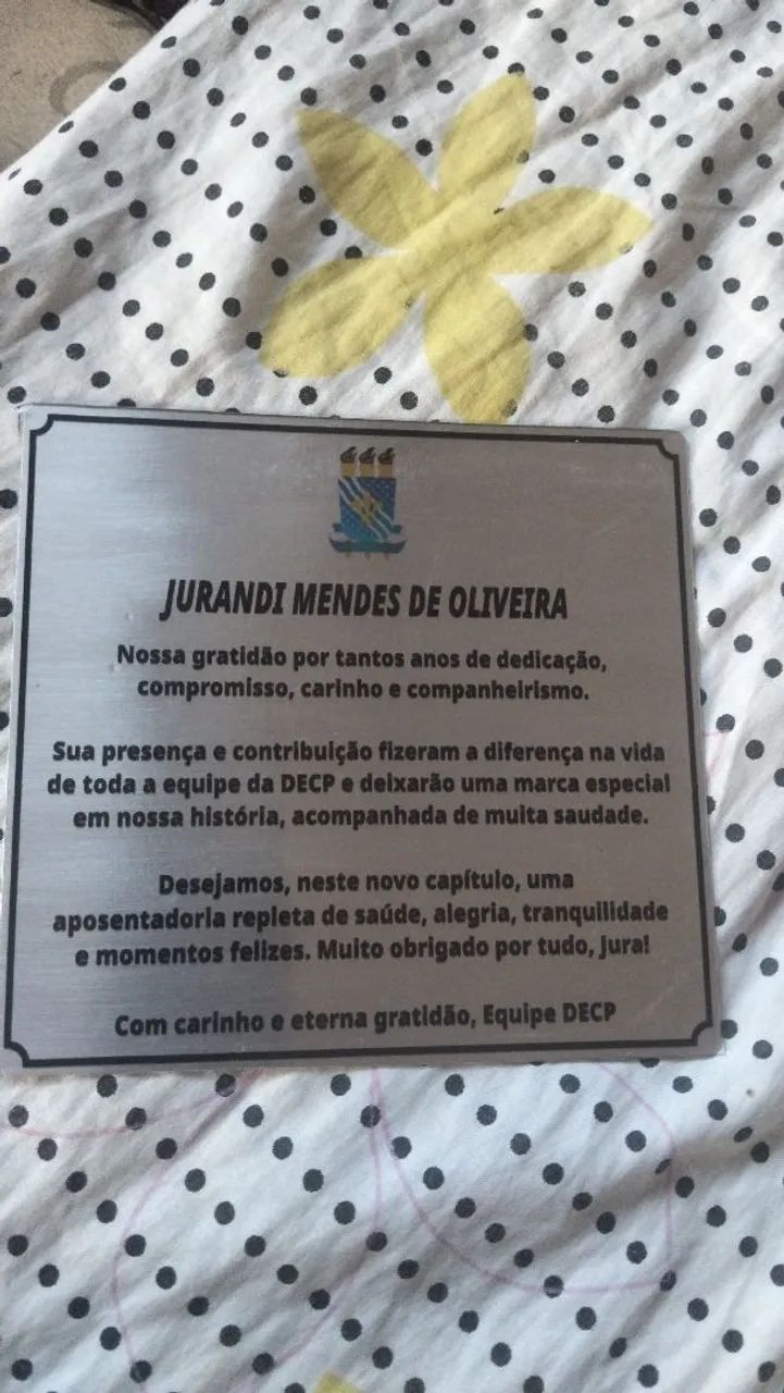 Tudo em Placas - Foto 3
