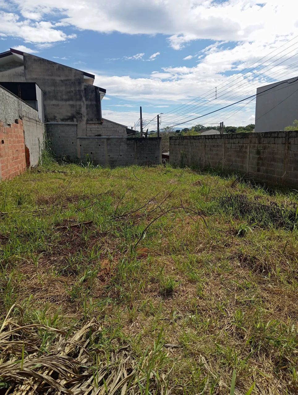 Terreno vila Branca  - Foto 3