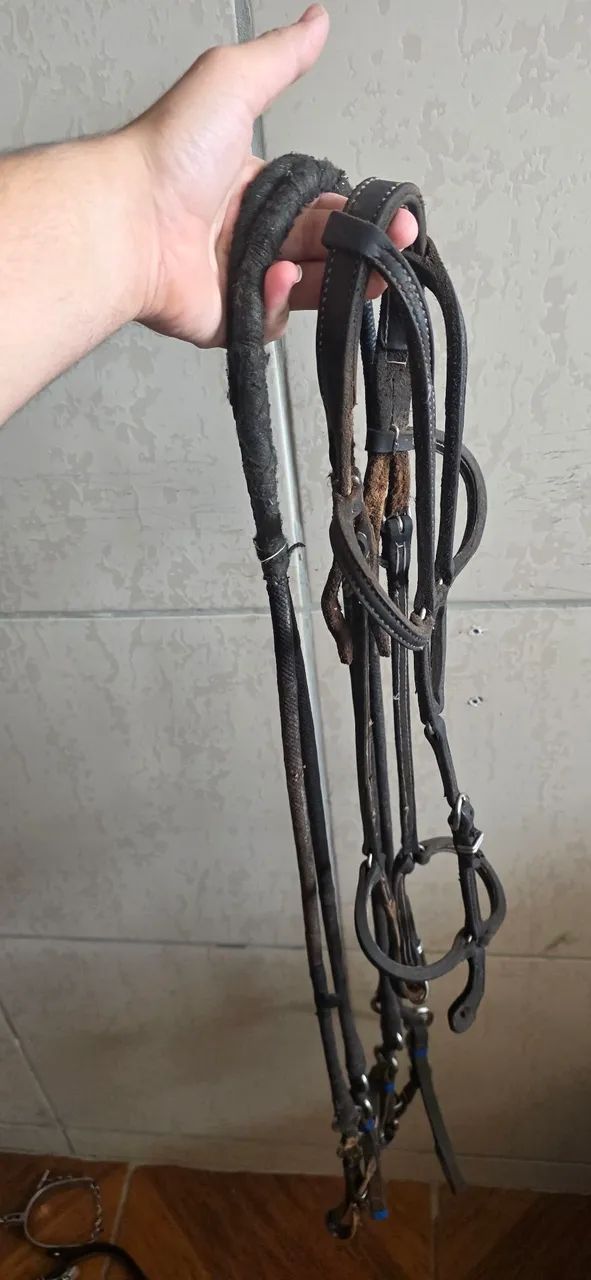 Cabeçada e par de rédeas - Foto 2