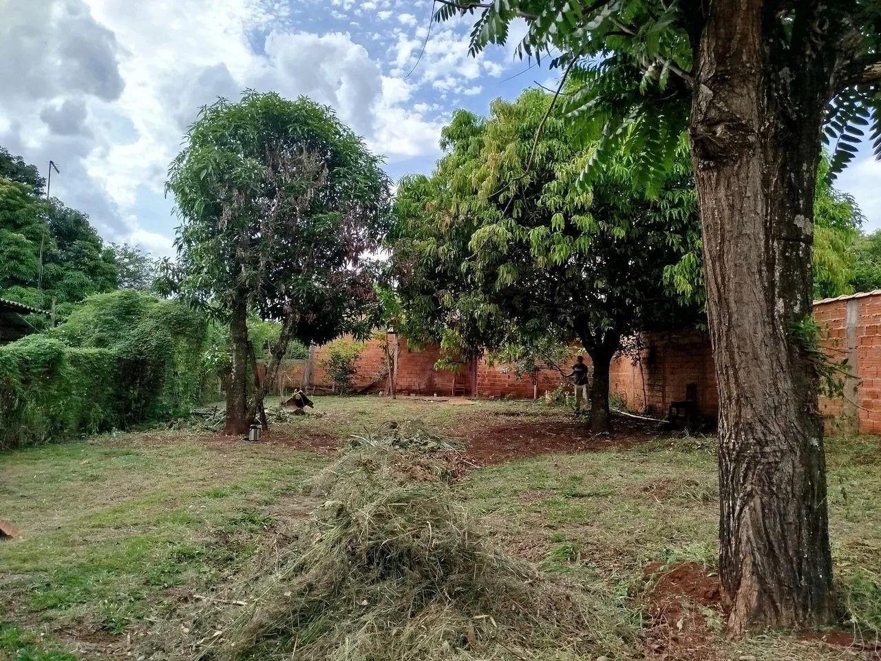 Vendo terreno  - Foto 2