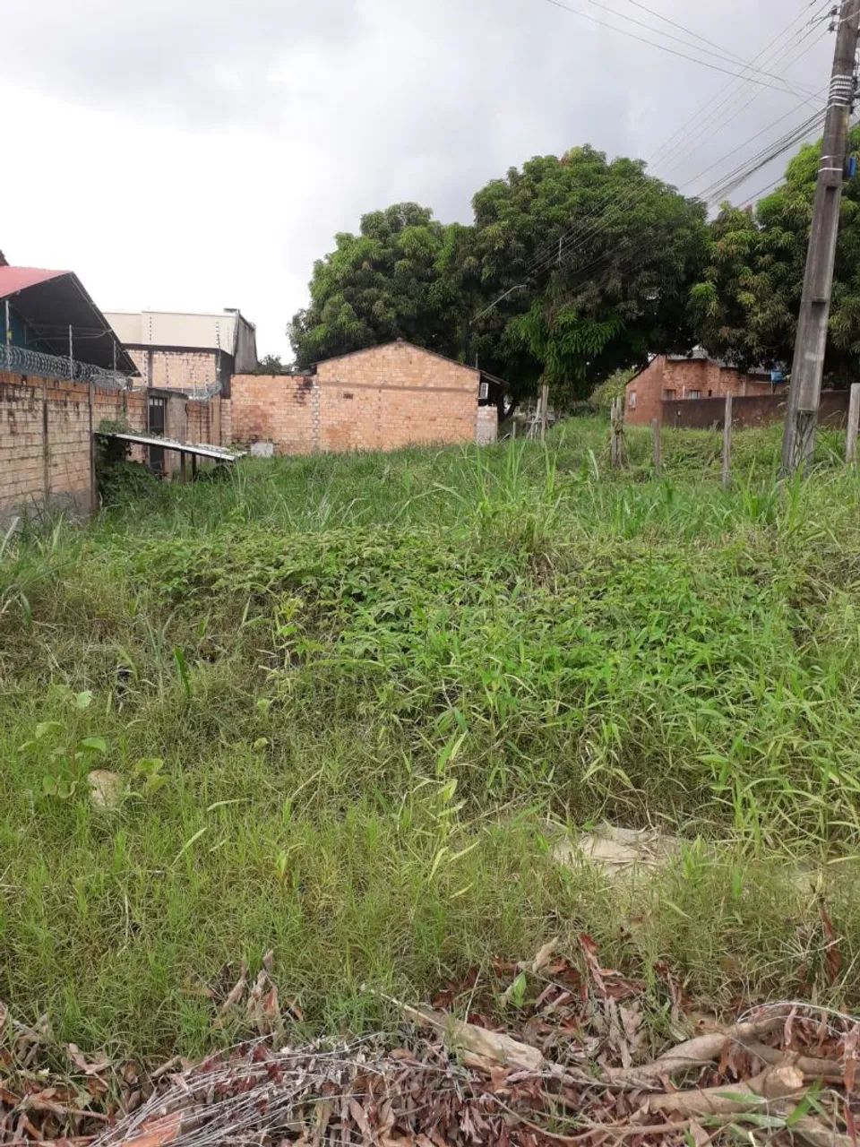 Foto - Manaus - Flores