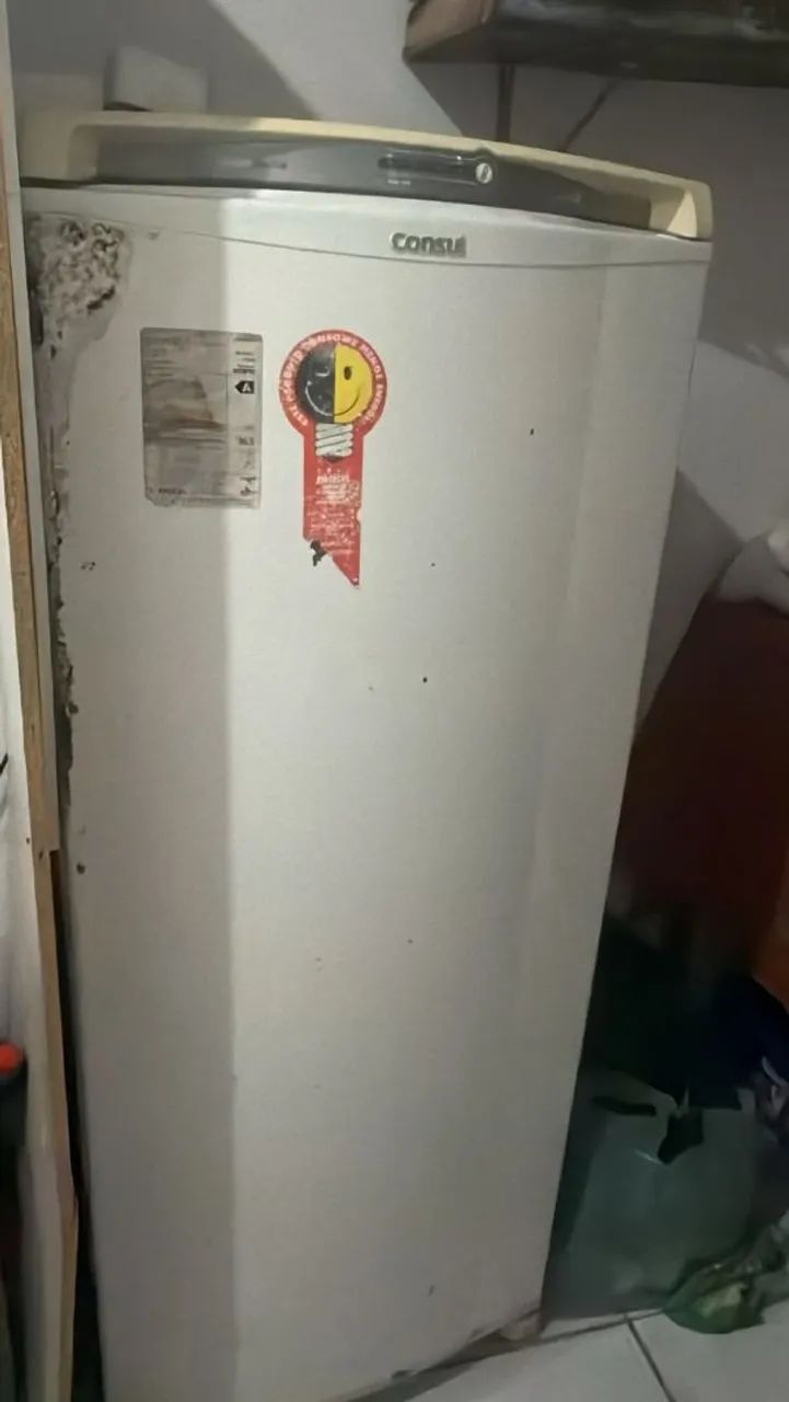 Vendo uma geladeira perfeira 