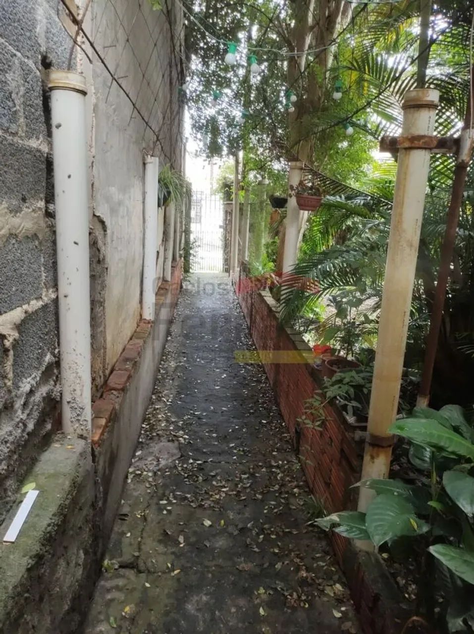 Terreno - Vila Ede - São Paulo - SP - Foto 4