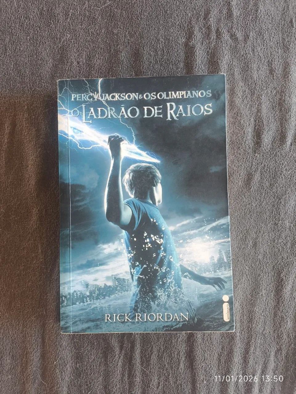 Percy Jackson e os olimpianos livro um o ladrão de raios