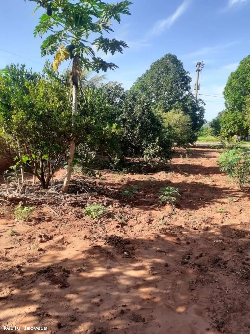Chácara para Venda em Pirapozinho / SP no bairro Portal Do Paranapanema - Foto 9
