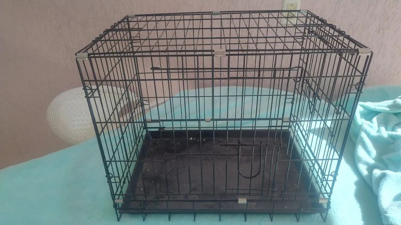 Caixa transporte para pet