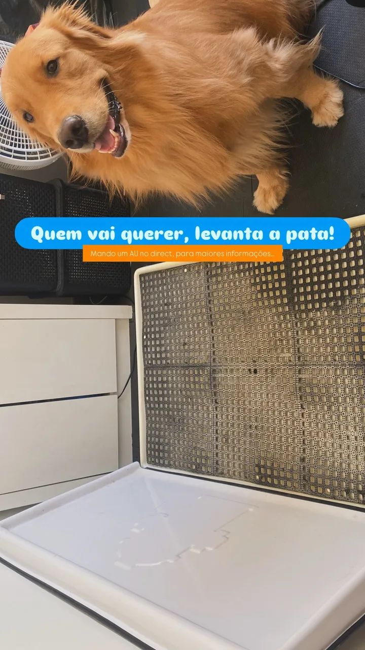 Weasy - Tapete de xixi  - Foto 2