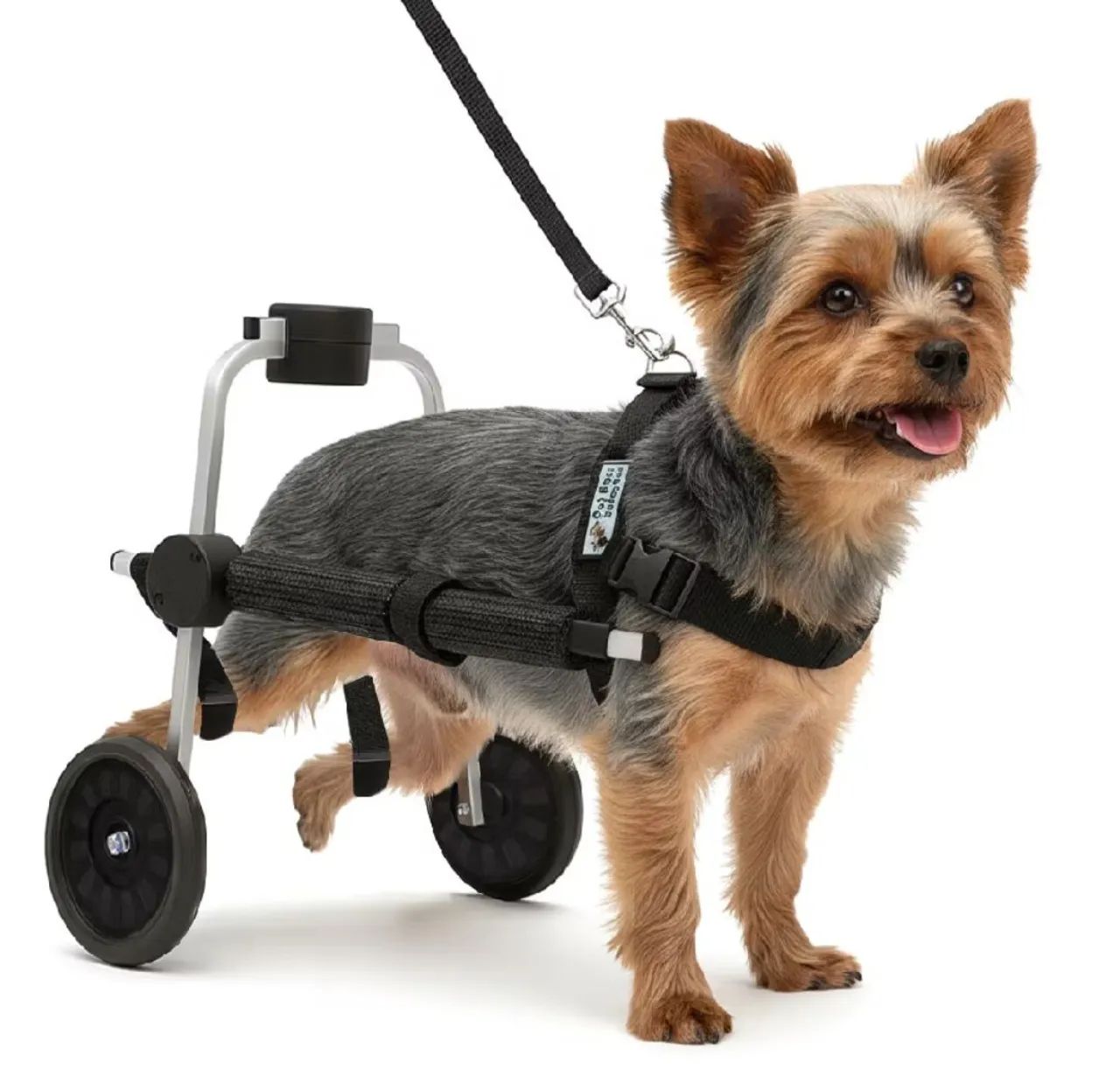 CADEIRA DE RODAS PARA CACHORRO 