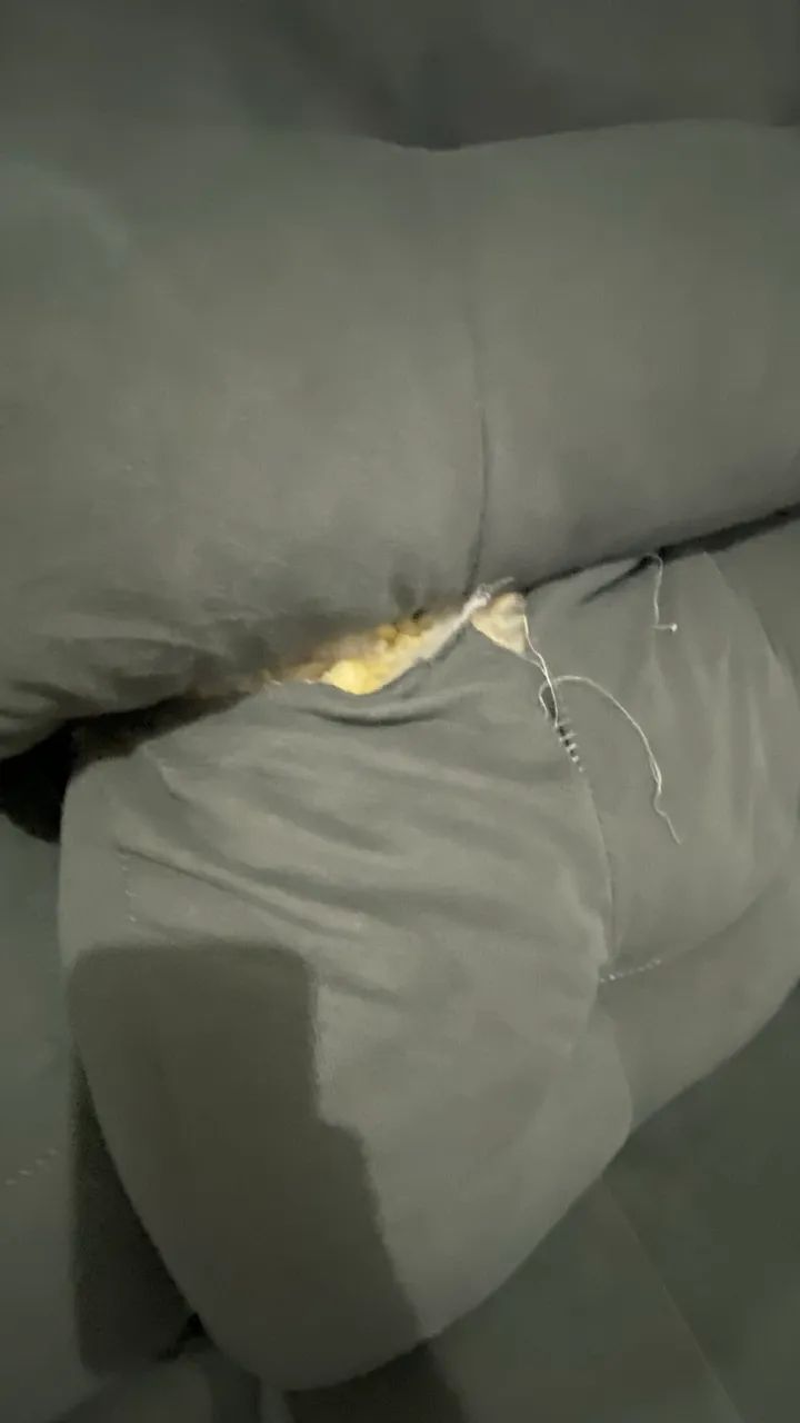 Sofra retratil  - Foto 3