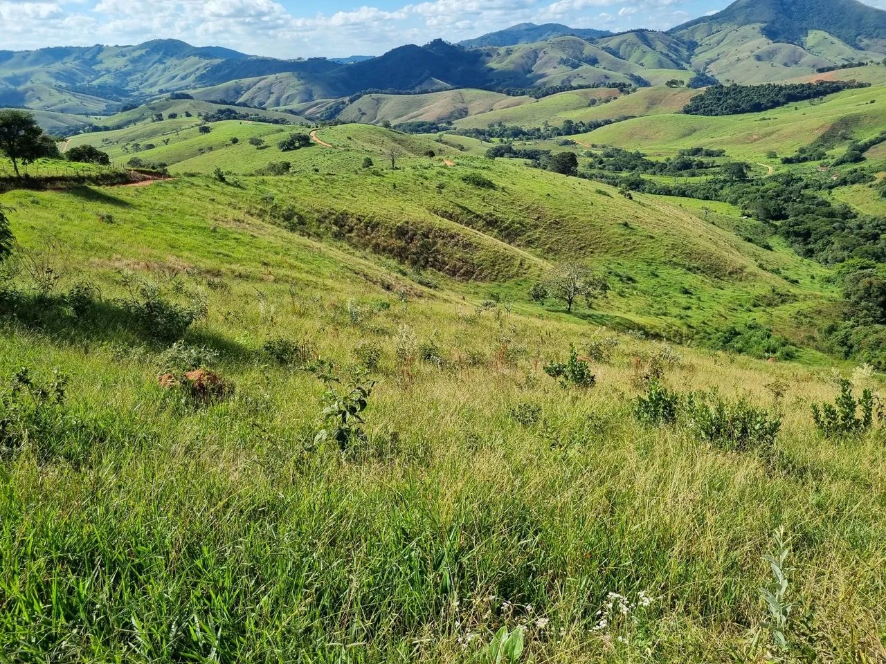 Foto - Pouso Alto - 