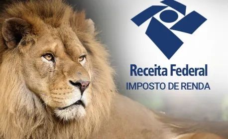 Contabilidade para Mei e Declaração do Imposto de Renda - Foto 4