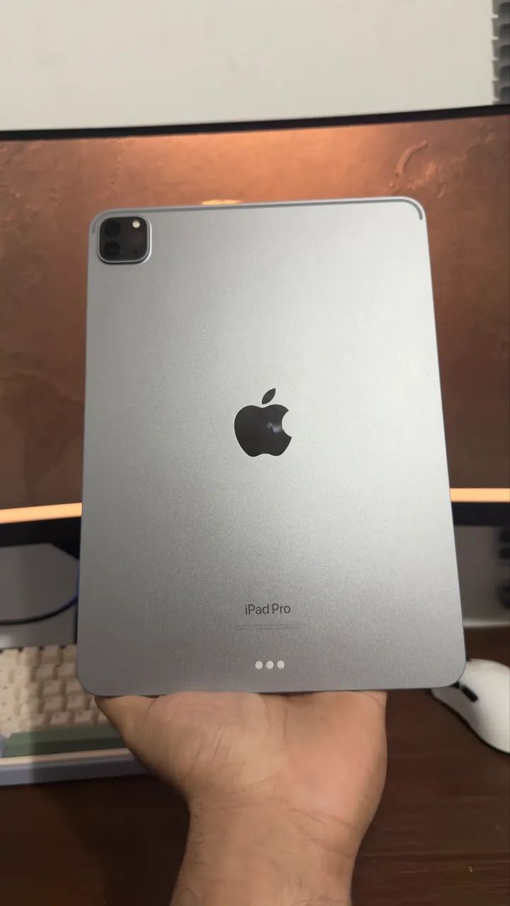 Ipad pro m2 256gb completo