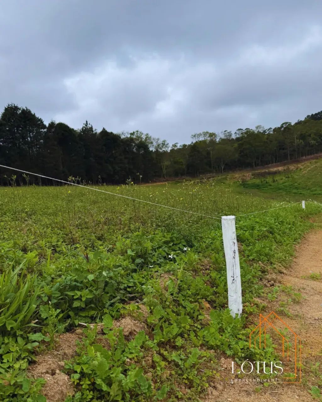 UM ESPAÇO PARA MORAR OU INVESTIR - Foto 4
