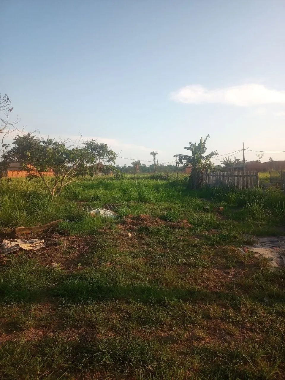 Terreno 