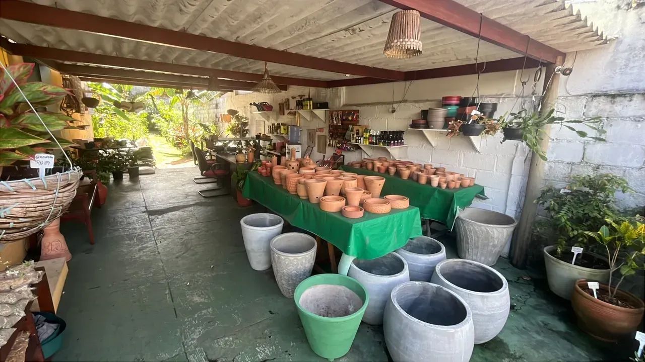 Repasse Loja de Plantas em Ponta Negra - Natal - RN - Foto 4