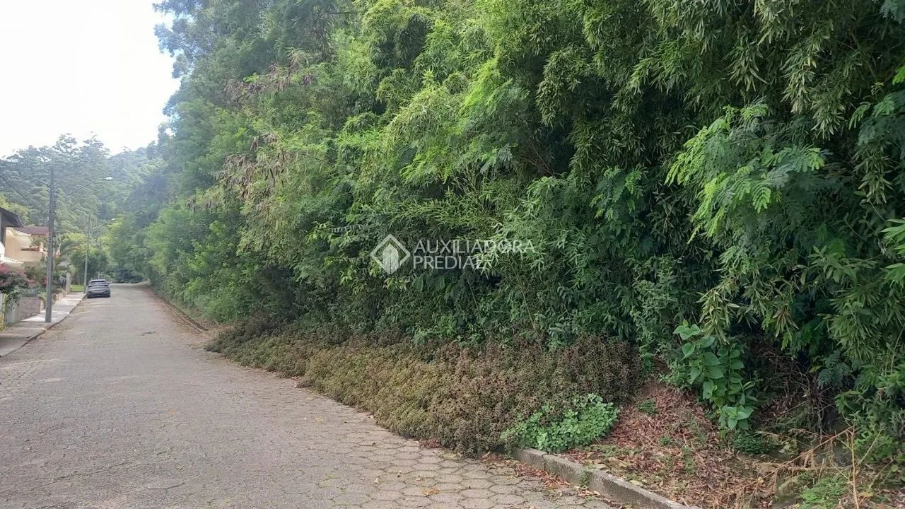 Terreno no bairro Trindade - Foto 4
