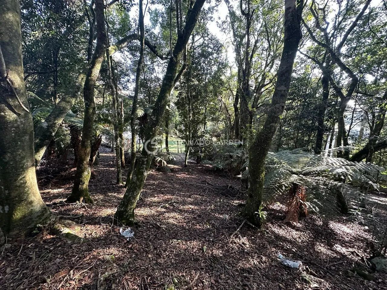 CONSTRUA A SUA CASA NA SERRA GAUCHA - Foto 3
