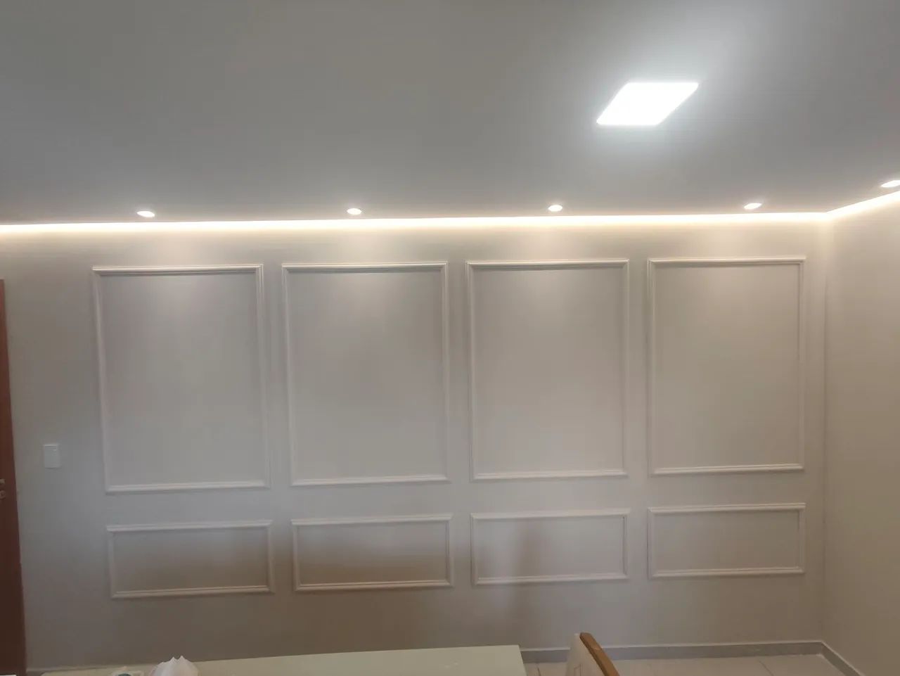 Pintor profissional 