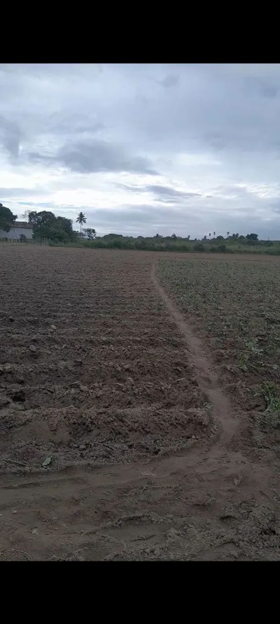 Vende se esse sitio - Foto 4