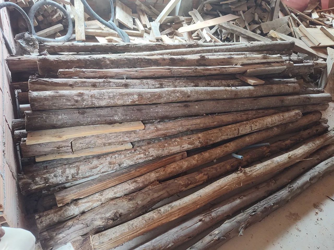 Bracatinga e escora de eucalipto 