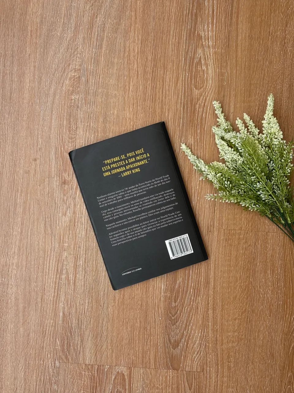 Livro: Adorável Heroína  - Foto 2